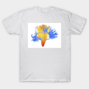 White matter fibres of the human brain (F010/8236) T-Shirt